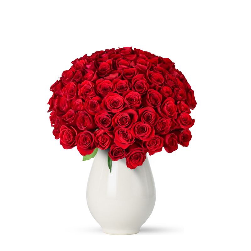 Red-Rose-Passion